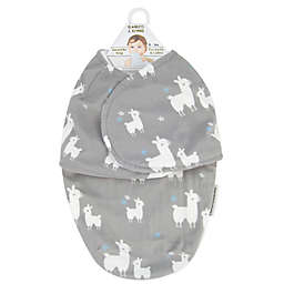 blankets and beyond swaddle bag reviews