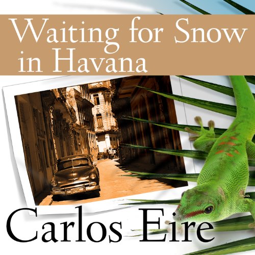waiting for snow in havana review