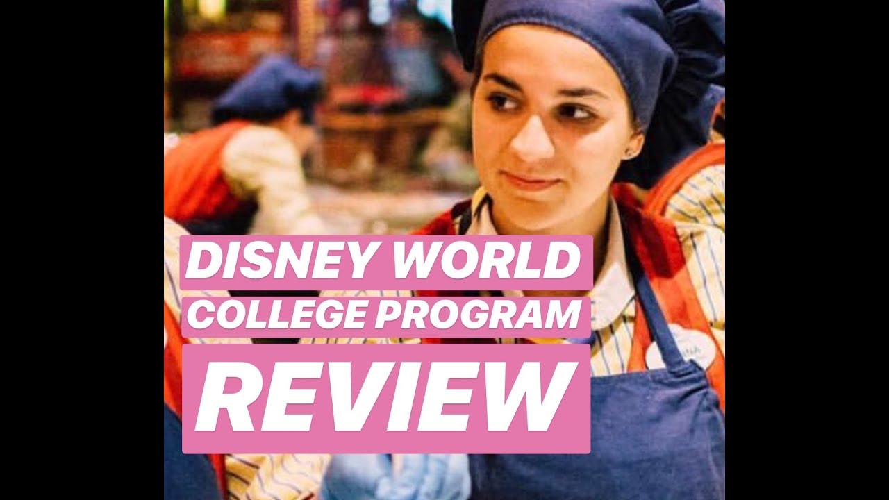 walt disney college program reviews
