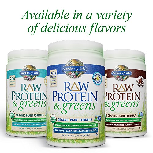 garden of life raw protein and greens review